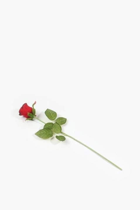 Rose Bud Single Stem, 45cm