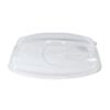 PLCW4 Oval Dome Small