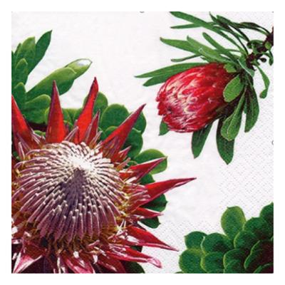 3ply Luncheon Protea White 20s