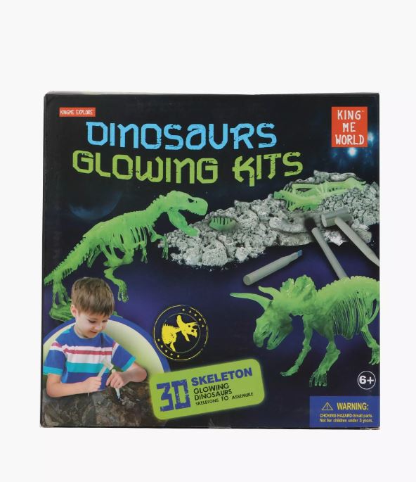 Glow In The Dark Dinosaur Skeleton
