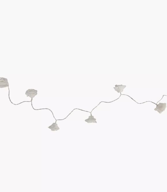 String Light Roses